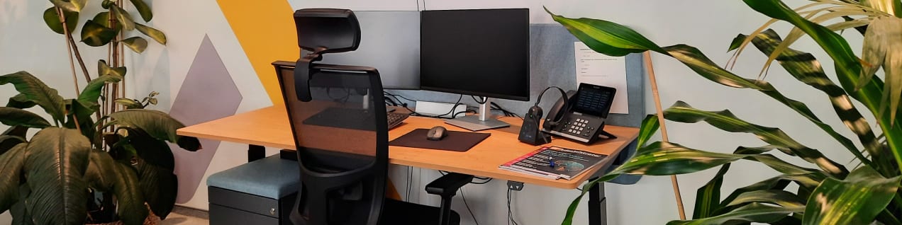 Workplace Image HXS GmbH