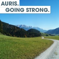 Workplace AURIS GROUP