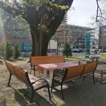 apichap, photo 10