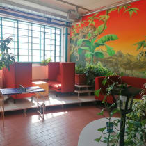 apichap, photo 2