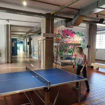 apichap, photo 7