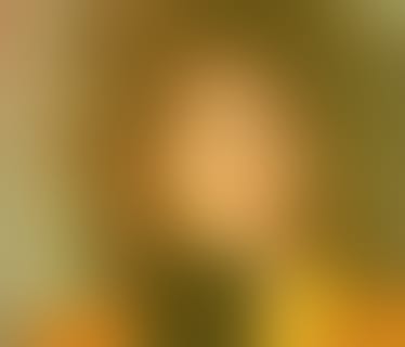 Header Orbyz