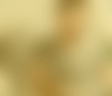 Header TMH Trading GmbH