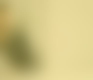 Header digibon Datentechnik GmbH