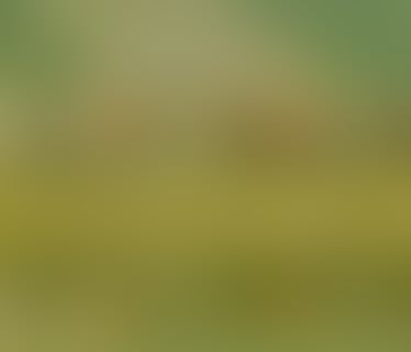 Header Hawle Service GmbH