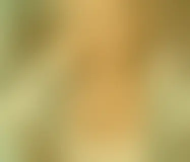 Header Nevis