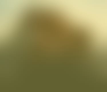 Header LearningSuite GmbH