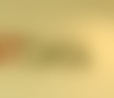 Header MOSTDATA GmbH