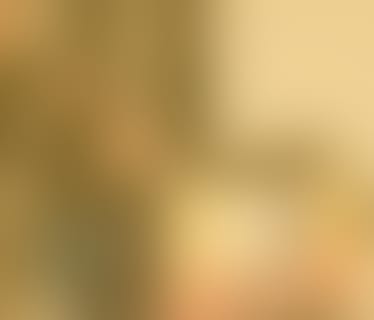 Header LOVE-IT Passionate Software Solutions GmbH