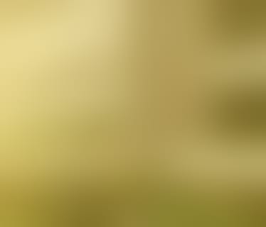 Header Swarovski Optik AG & Co KG. 