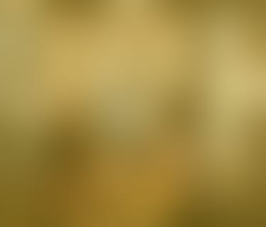 Header lab73