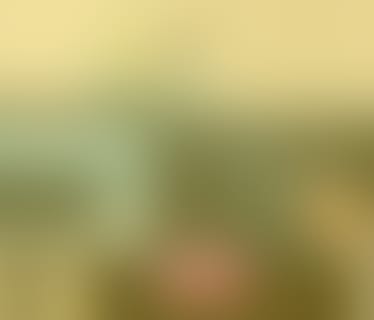 Header durchblicker.at