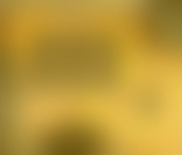 Header XiTrust Secure Technologies GmbH (Graz, Austria)