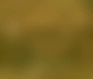 Header websLINE