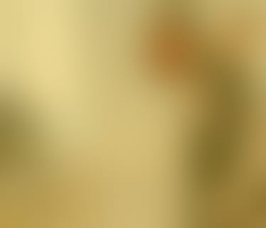 Header IT Kaufmann GmbH