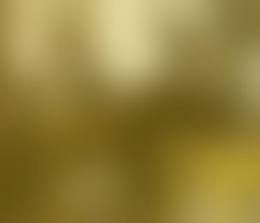 Header Prehm Software Solutions e.U.