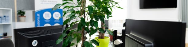 Workplace Cyber-Solutions Software GmbH