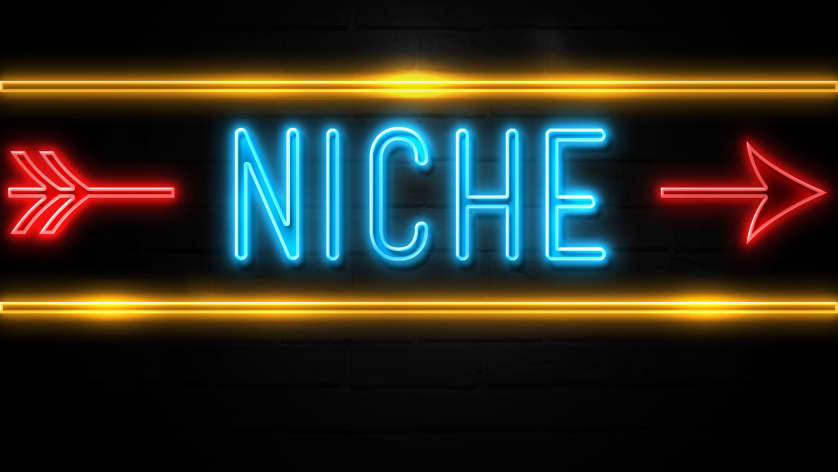 Niche programming languages for your dev career