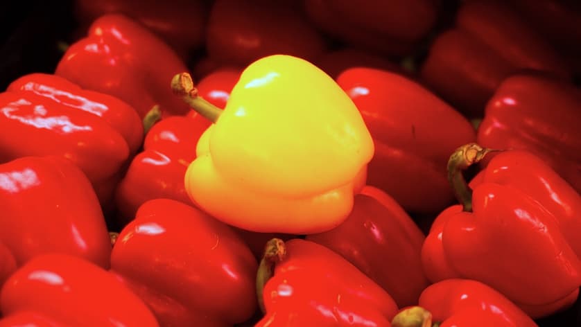 How to Stand Out in the First 6 Months of Your New Dev Job