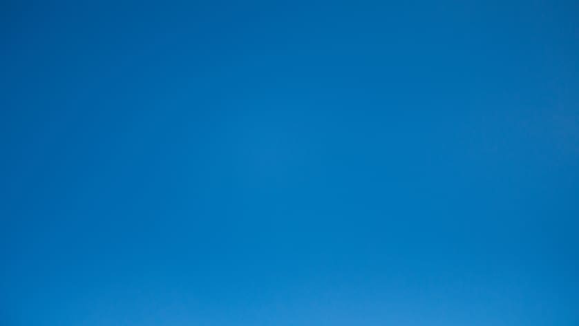 The Blue Card EU: Unlocking Job Opportunities for IT Professionals