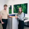 Team insight Colleagues