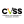 Logo Technology CVSS