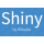 Logo Technology Shiny