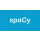 Logo Technology SpaCy