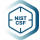 Logo Technology NIST CSF