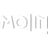 Logo Molin Industrie - Inbetriebnahme & Montage Gmbh & Co.kg