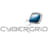 cyberGRID