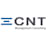Logo Cnt Management Consulting Ag