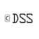Logo DataScience Service GmbH