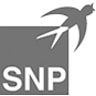 Logo SNP AUSTRIA GmbH