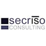 Logo secriso Consulting